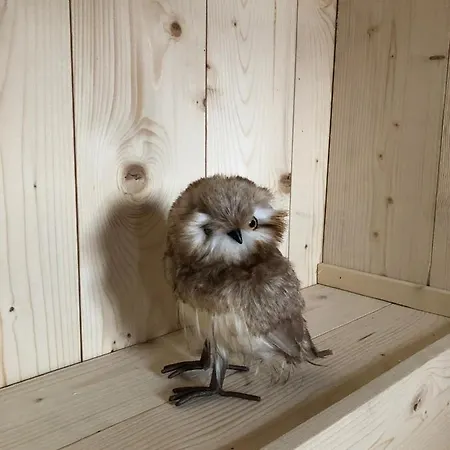 Le Hibou - 2alpes - Jacuzzi - 14 Couchages