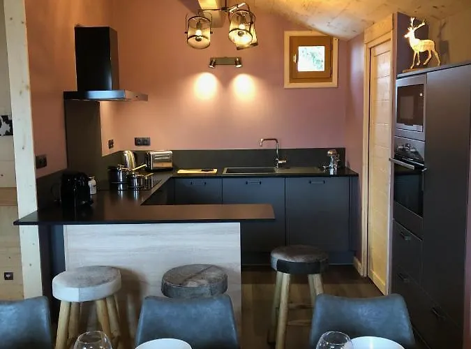 Dağ evi Le Hibou - 2alpes - Jacuzzi - 14 Couchages