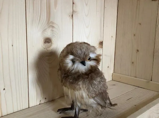 Le Hibou - 2alpes - Jacuzzi - 14 Couchages